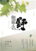 他那么野txt百度