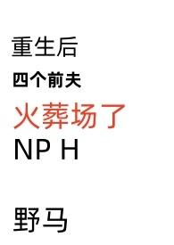 重生后四个前夫火葬场了nph野马
