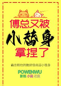 傅总又被小替身拿捏了春风无邪