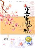 皇家宠媳txt