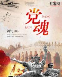 党魂的意思是什么解释