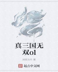 真三国无双OL甲刀对抗