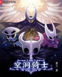 空洞骑士大黄蜂