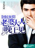 婚宠娇妻老婆大人晚上见