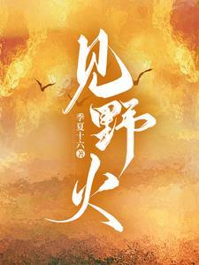 向野火完整版