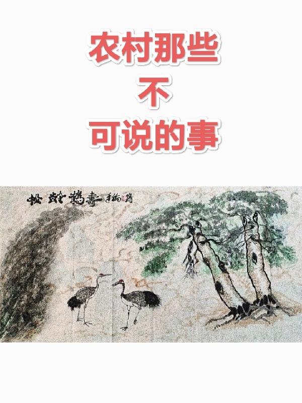 农村这些事