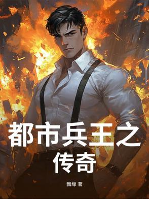 都市兵王大全