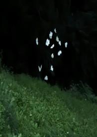 蔚然深秀意思