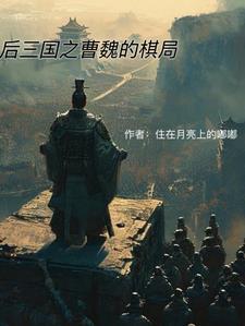 三国后期